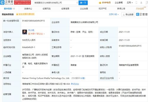 項目策劃與公關服務 構建成功與聲譽的雙重支柱