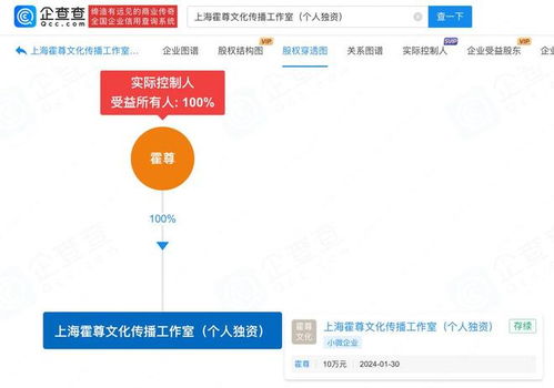 霍尊南京江豚音樂節復出 前女友辟謠、爭議解讀與公關策略分析